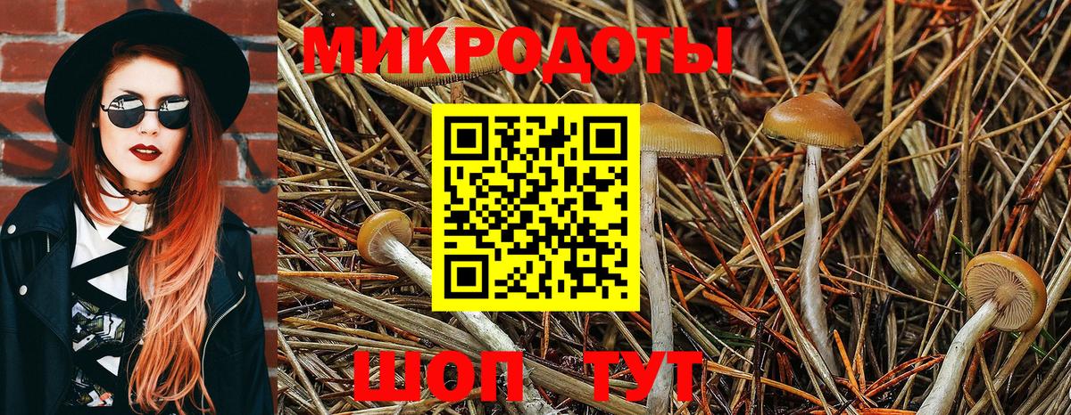 Галлюциногенные грибы мухоморы Учалы